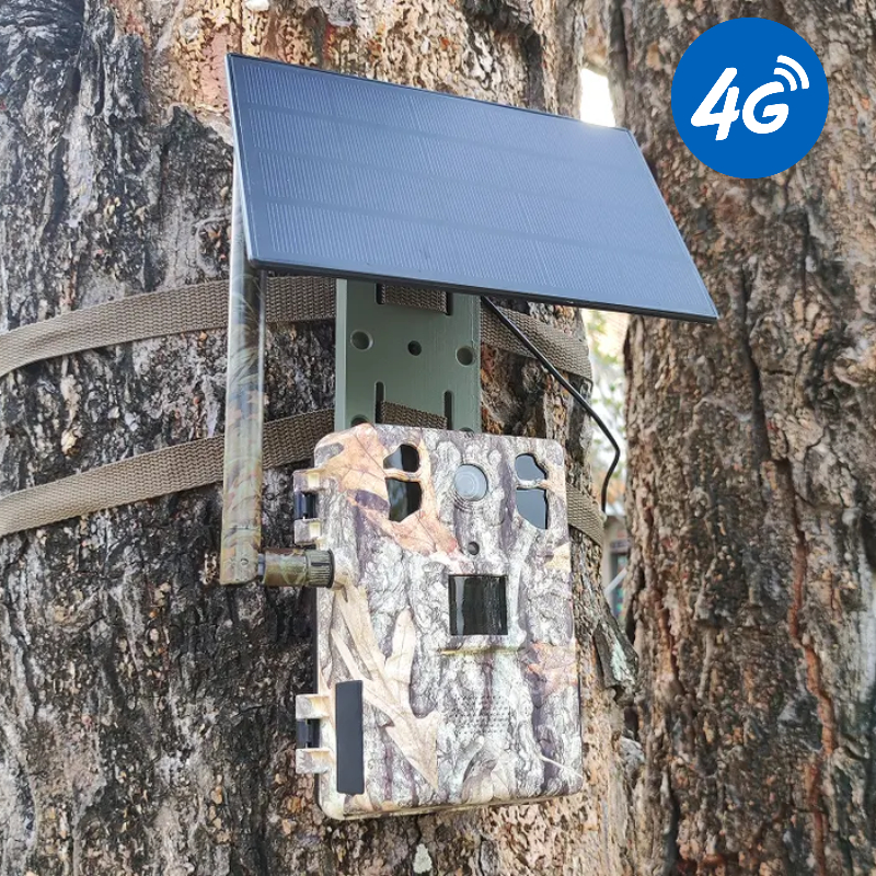 Camera Solar Wireless - 4G LTE Wildlife Solar Hunting Camera