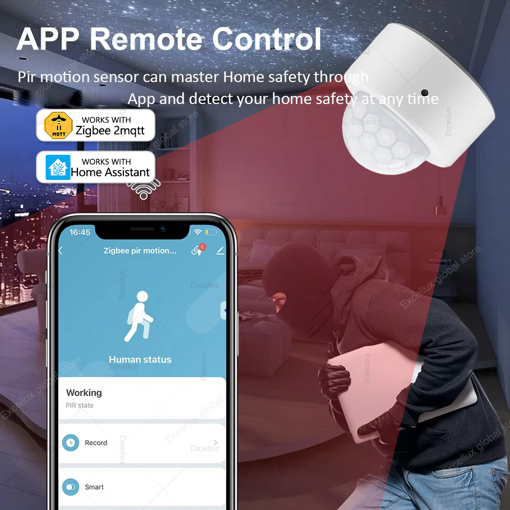 ZigBee PIR Motion Sensor Mini  - Home Security Alarm recensione e prezzo