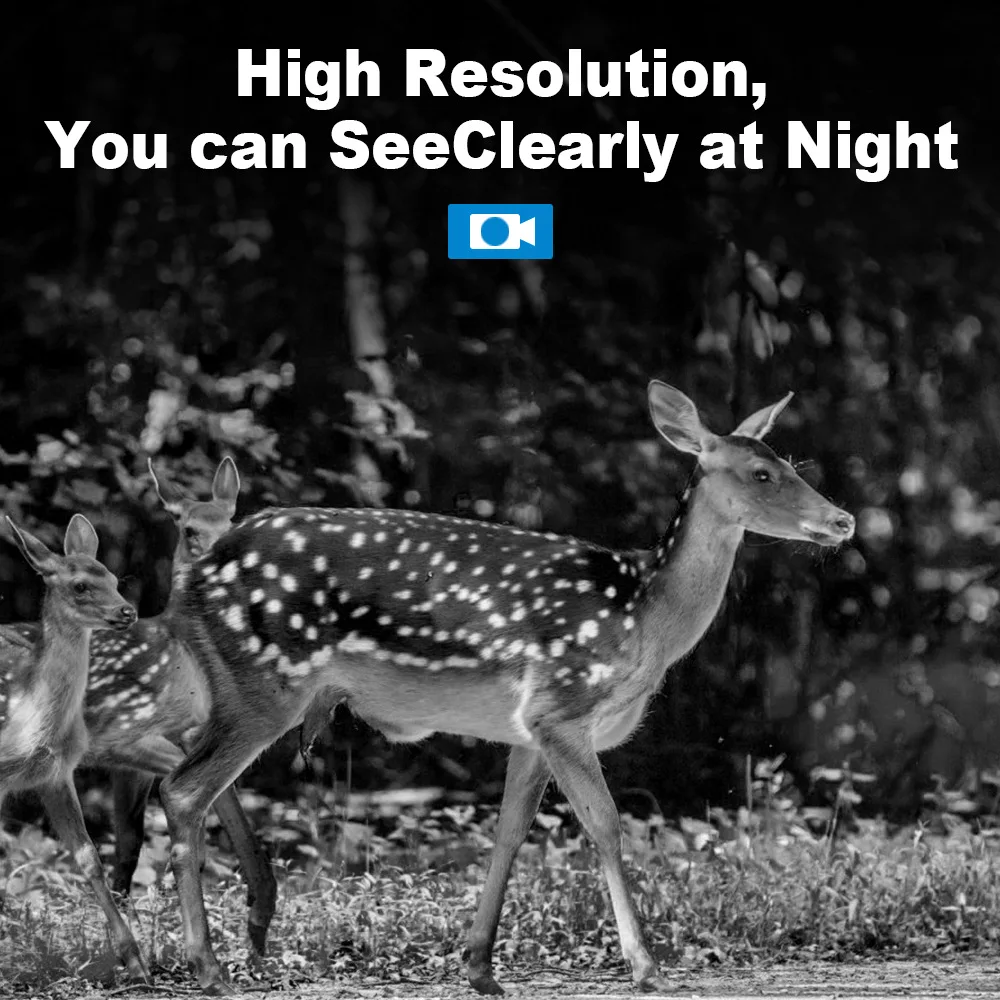 4G LTE Wildlife Solar Hunting  - Camera Solar Wireless recensione e prezzo